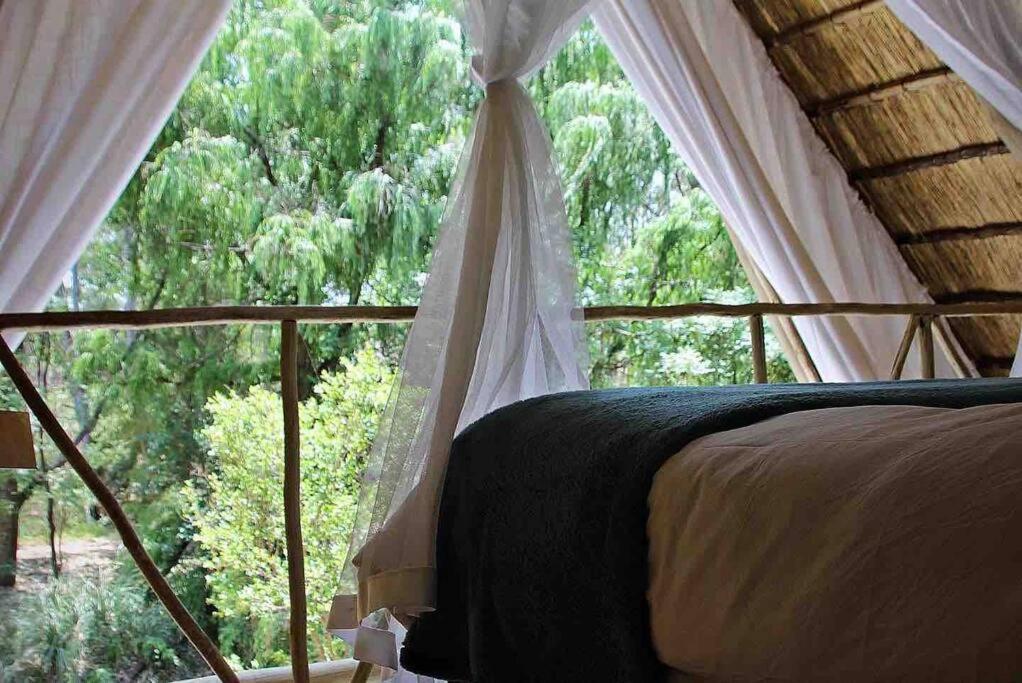 Hot Spring Bungalow In Limpopo Gemsbokfontein エクステリア 写真