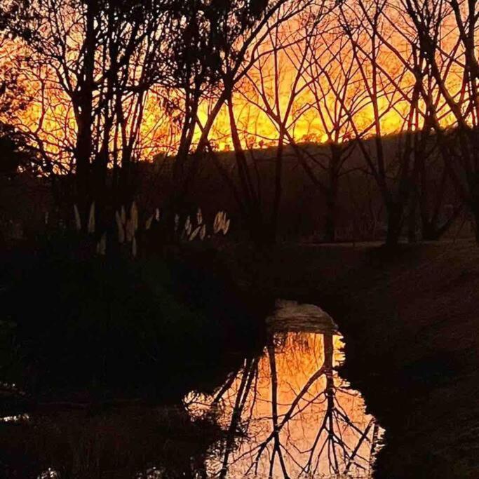 Hot Spring Bungalow In Limpopo Gemsbokfontein エクステリア 写真